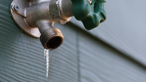 Best Commercial Plumbing Services  in Dardenne Prairie, MO